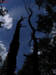 Radziszów Rozparka - tam dom mój, gdzie serce moje...