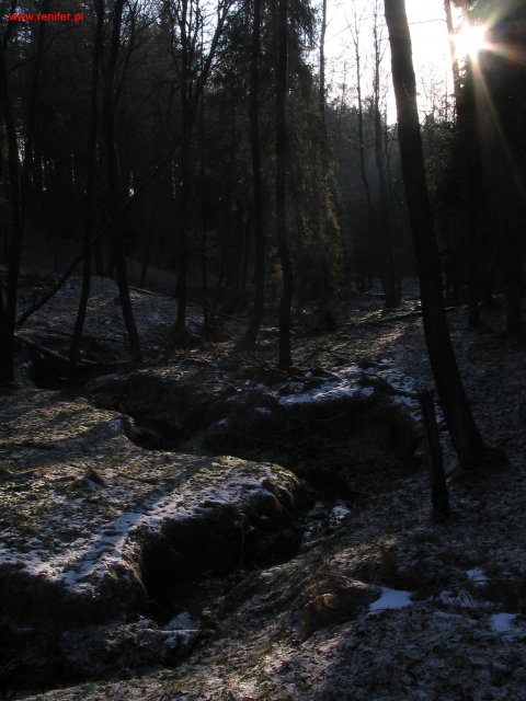 Strumień Pasieka