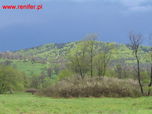  Beskid Niski-Geofizyka