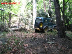 Beskid Niski-Geofizyka