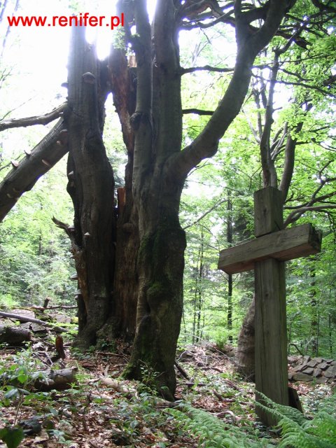 Beskid Niski-Geofizyka