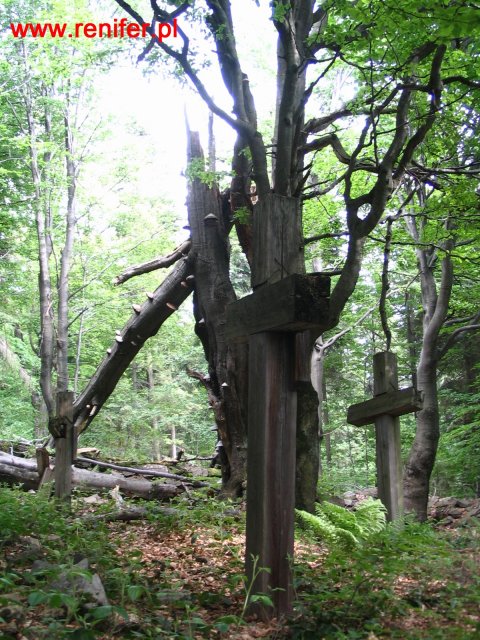 Beskid Niski-Geofizyka