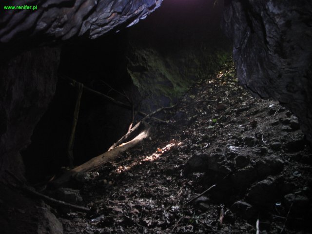 Jaskinia Dziewicza 