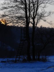 Ambona na Łanach