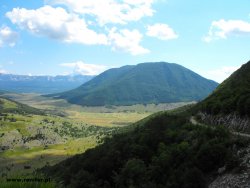 Bośnia, Hercegowina i Czarnogóra 13