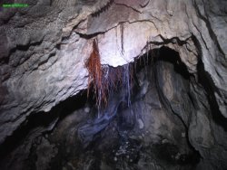 Jaskinia Dziewicza 